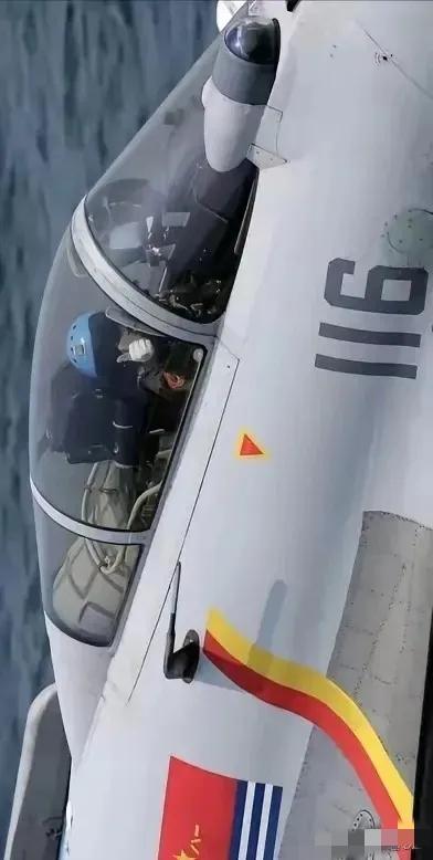 歼10C遭遇外机挑衅这事太提气了！3月27日，特级飞行员武辉驾驶歼10C在南海巡