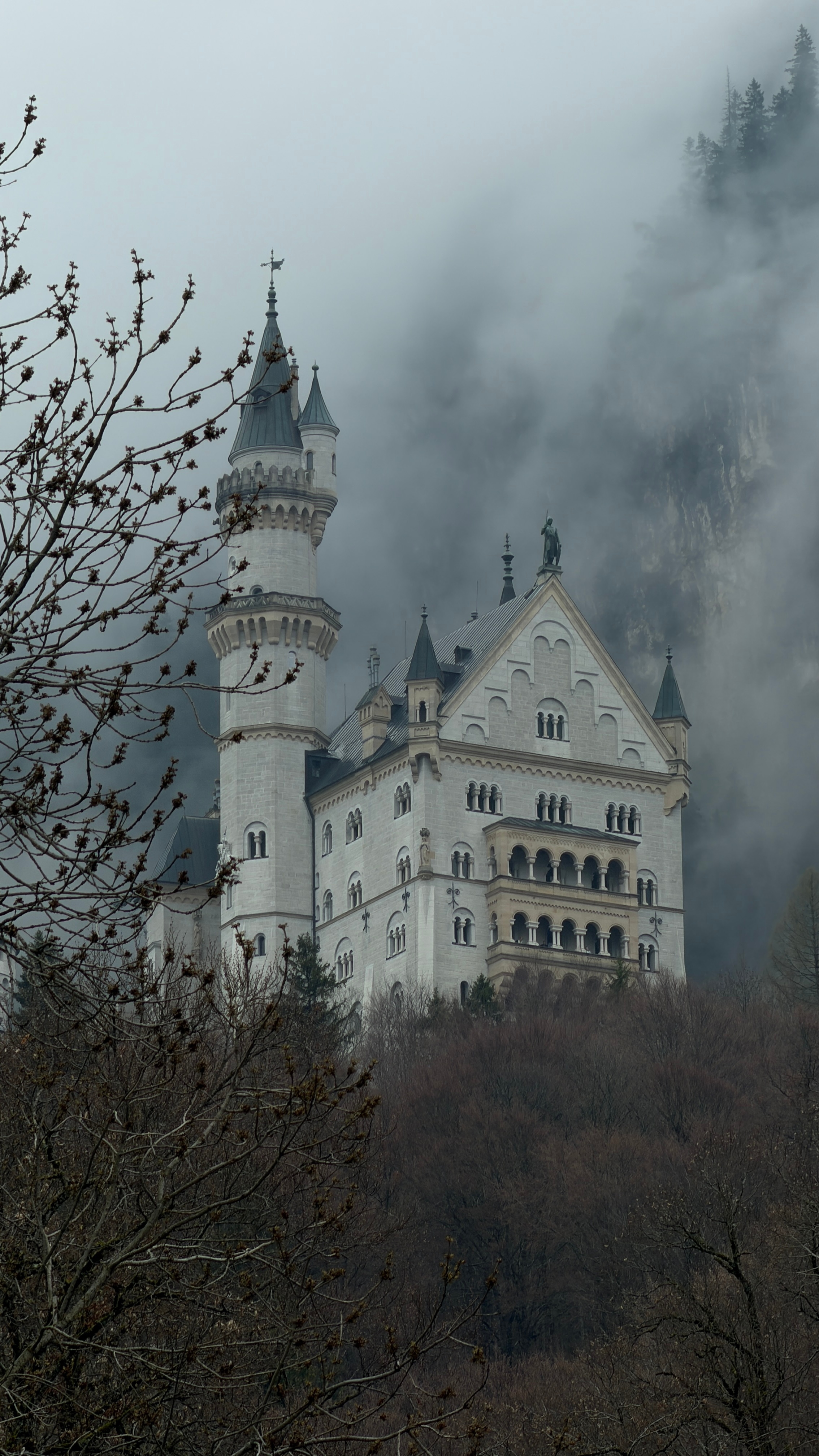 阴天的天鹅堡🦢🏰 德国·德国高天鹅堡