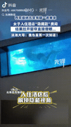 “彻底解释不清了！”近日，云南西双版纳，一女子入住酒店后想拉开窗帘透透气，不料，