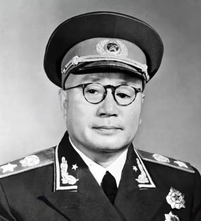 楚子风1973年，年迈的刘伯承元帅开始丧失了独立思维能力，并从那年开始，他再也没