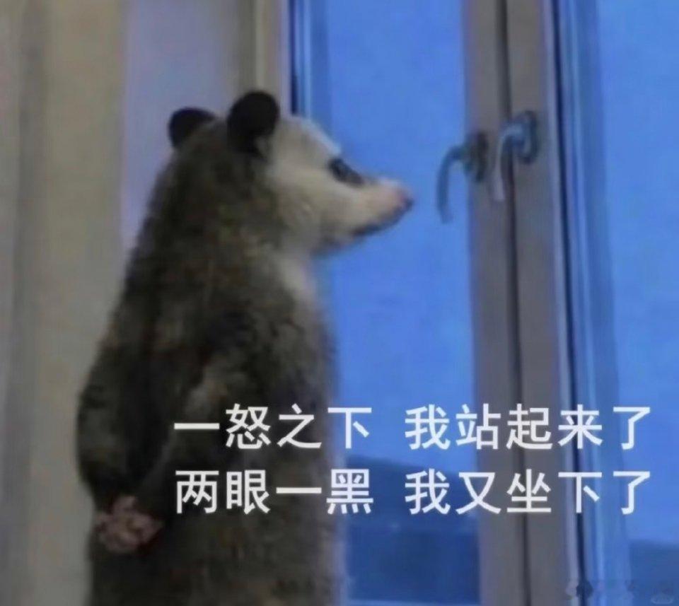白期待了，拍的跟ai短剧似的，还没人家爽