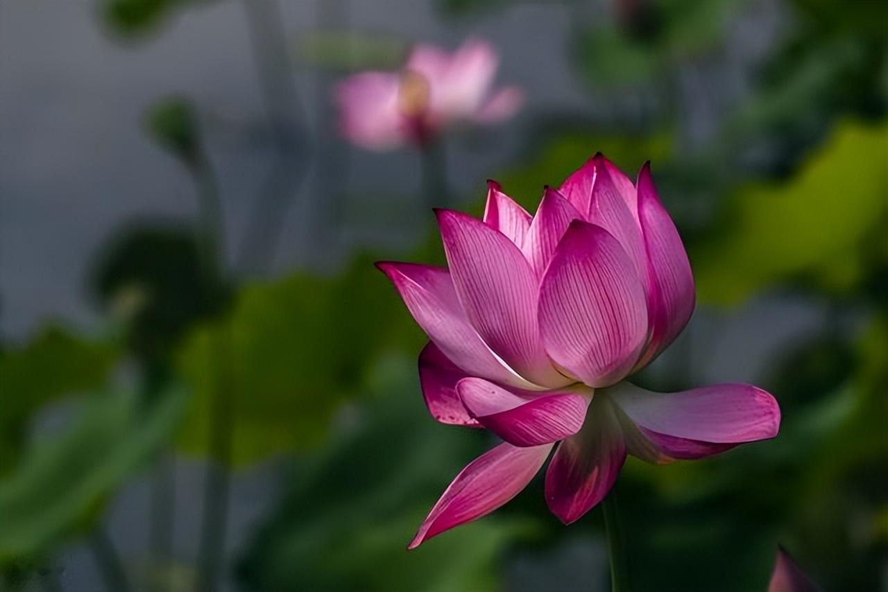 路程中会遇到很多很多麻烦困难，我们需要承受，更要去解决，俞敏洪说过一句话：坚持下