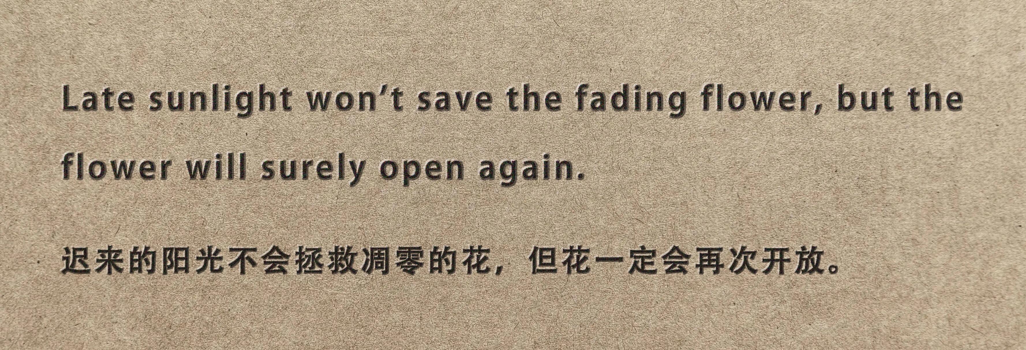 一定会等来春暖花开的 