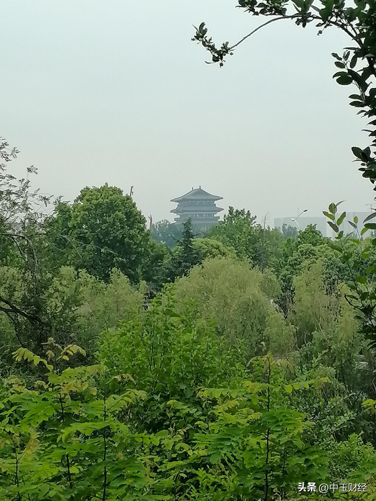 晒图笔记大赛远处的青云阁在绿树环绕的远方，看得那么亲近和自然。
