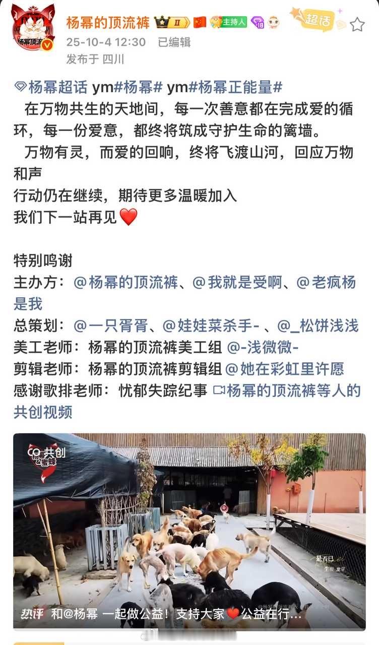粉丝与偶像之间的双向奔赴就是这样吧！杨幂以粉丝之名做公益，杨幂粉丝也以杨幂和蜜蜂