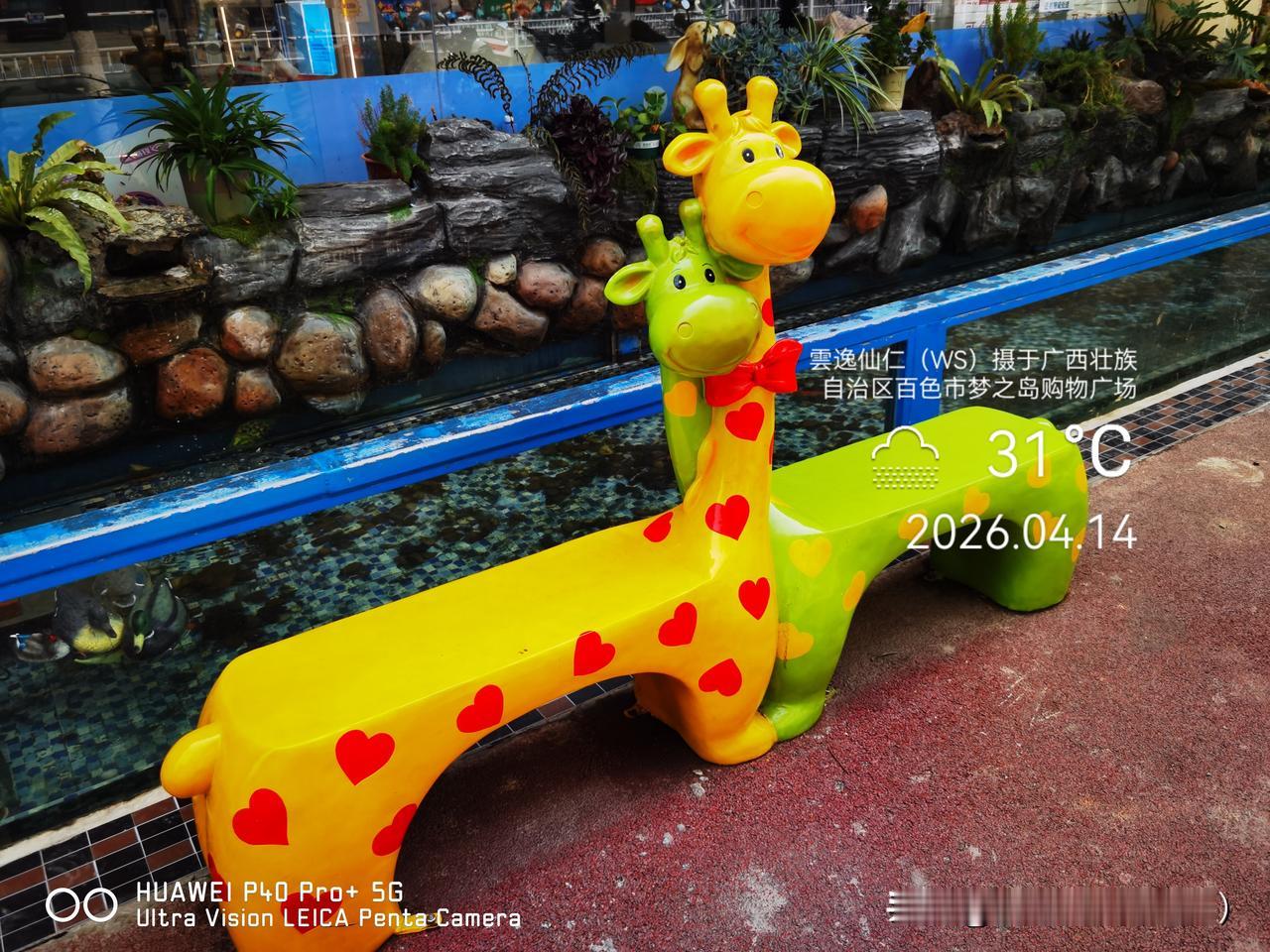 旅居生活记录（9442）广西壮族自治区百色市（127）：市民公园。