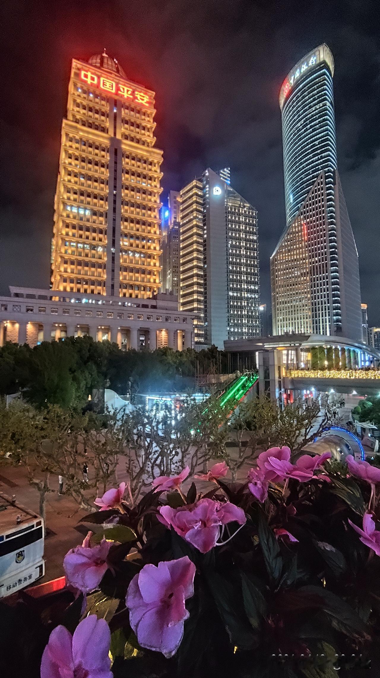 分享你随手拍的风景美丽的陆家嘴夜晚风光