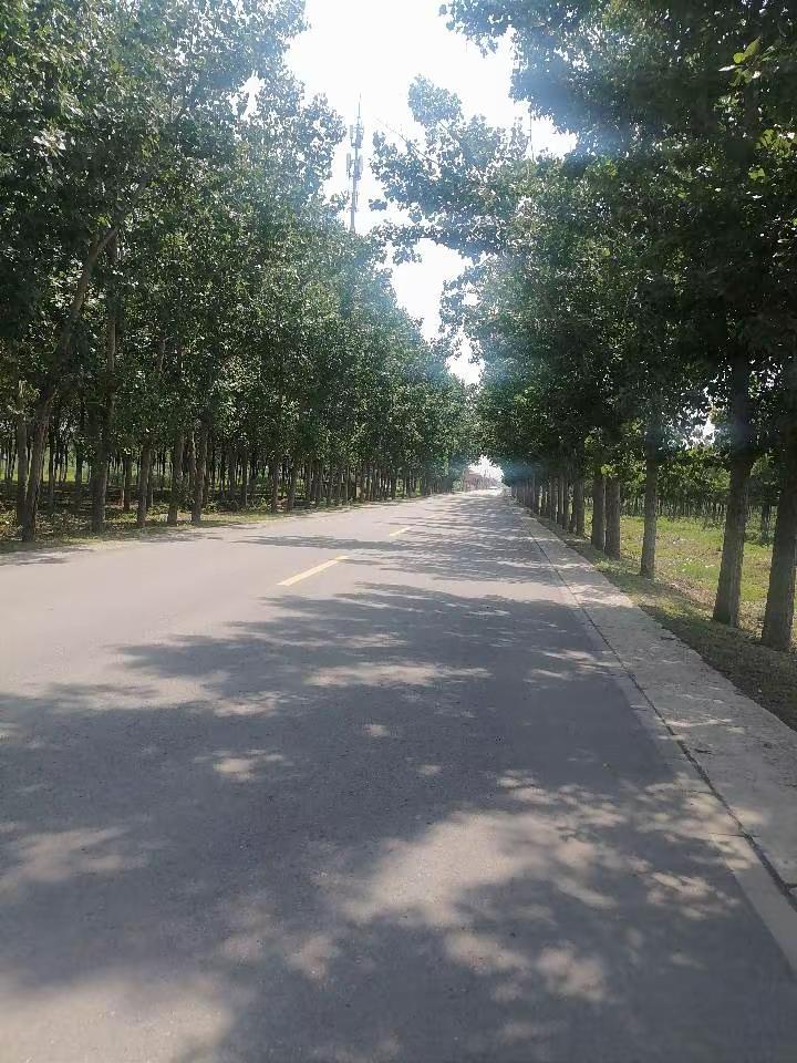 这几天头时不时疼的厉害就发些前段时间拍的视频吧🥺    @肖战这辈子能认识你和