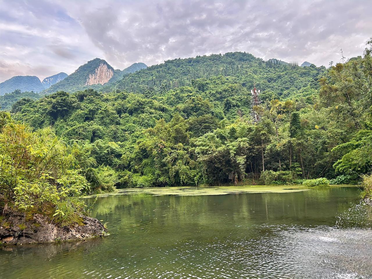 诗山寻妙句；
墨海觅佳构。