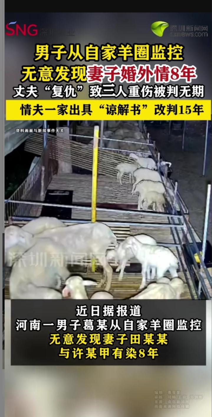 羊圈监控揭露8年婚外情，男子报复获刑15年
 
近日，河南原阳男子葛某通过自家羊