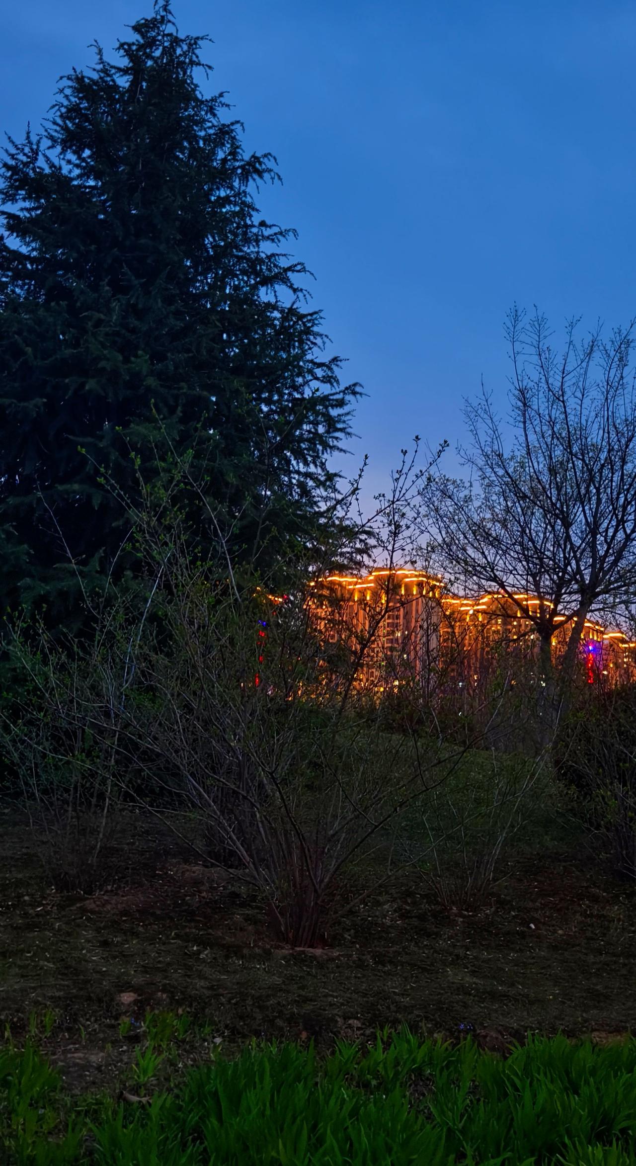 夜幕降临 夜晚的田野风景 乡村田野夜景 秋夜田间