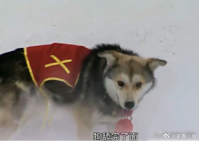 《西游记》中孙悟空遇到的难题：鸡吃完了米、狗舔完了面，火烧断了锁，哪个更难？  