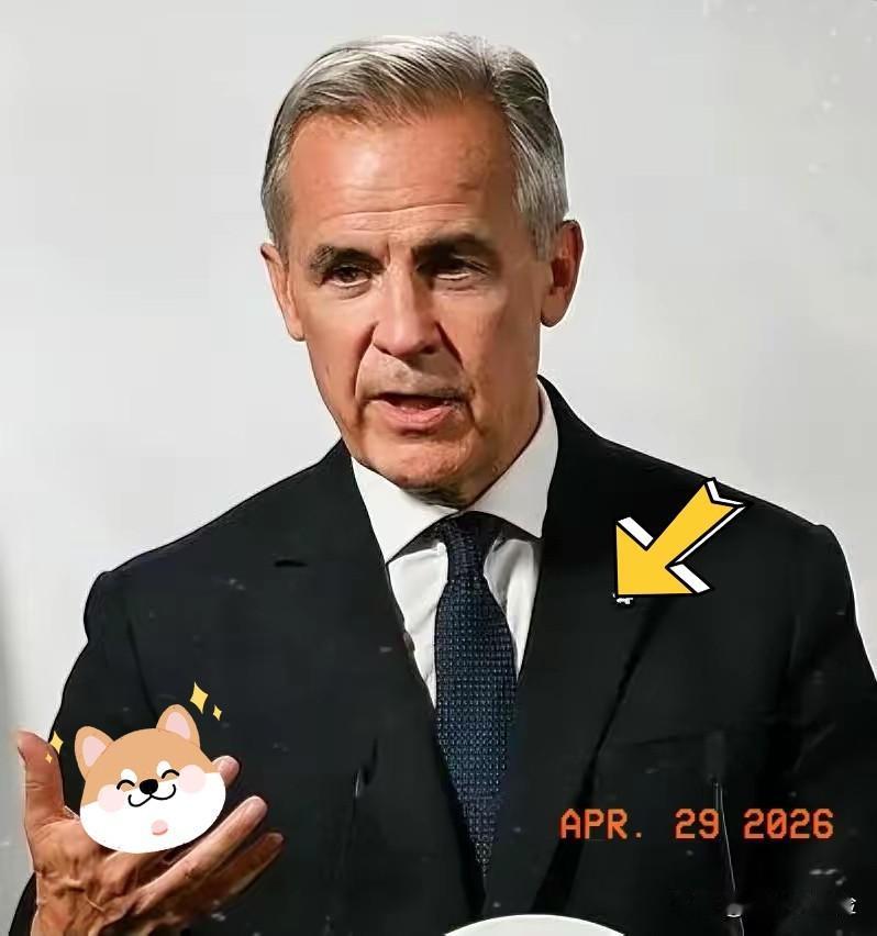 加拿大正式宣布！
4月29日，据财联社报道，加拿大总理办公室正式宣布，总理卡尼将