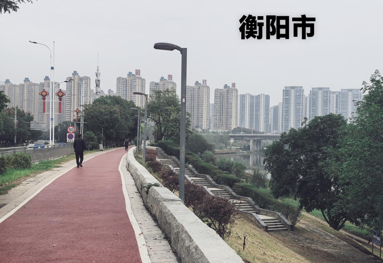 下图就是衡阳的蒸湘区连接华新区，边缘的一条干道，往前没多远就是市区到衡阳县的一条