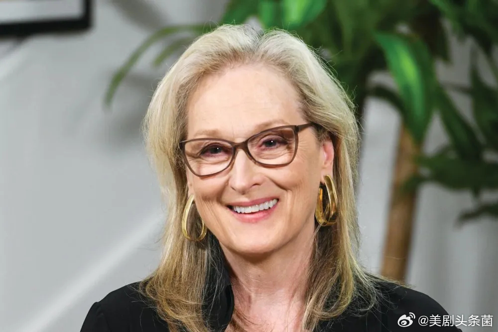 【奈飞预订梅姨主演限定剧】奈飞预订限定剧《纠正》（The Corrections