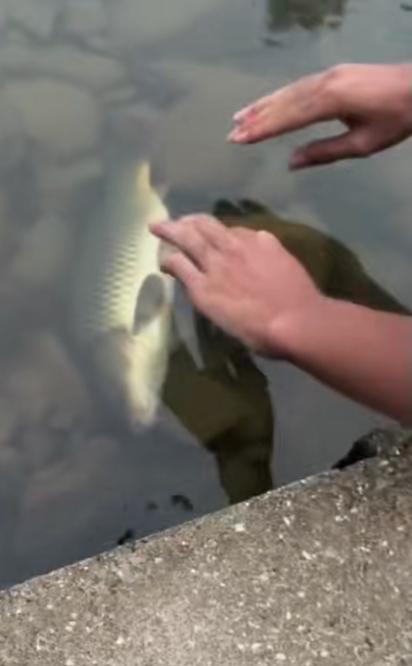 这波操作都看傻了。