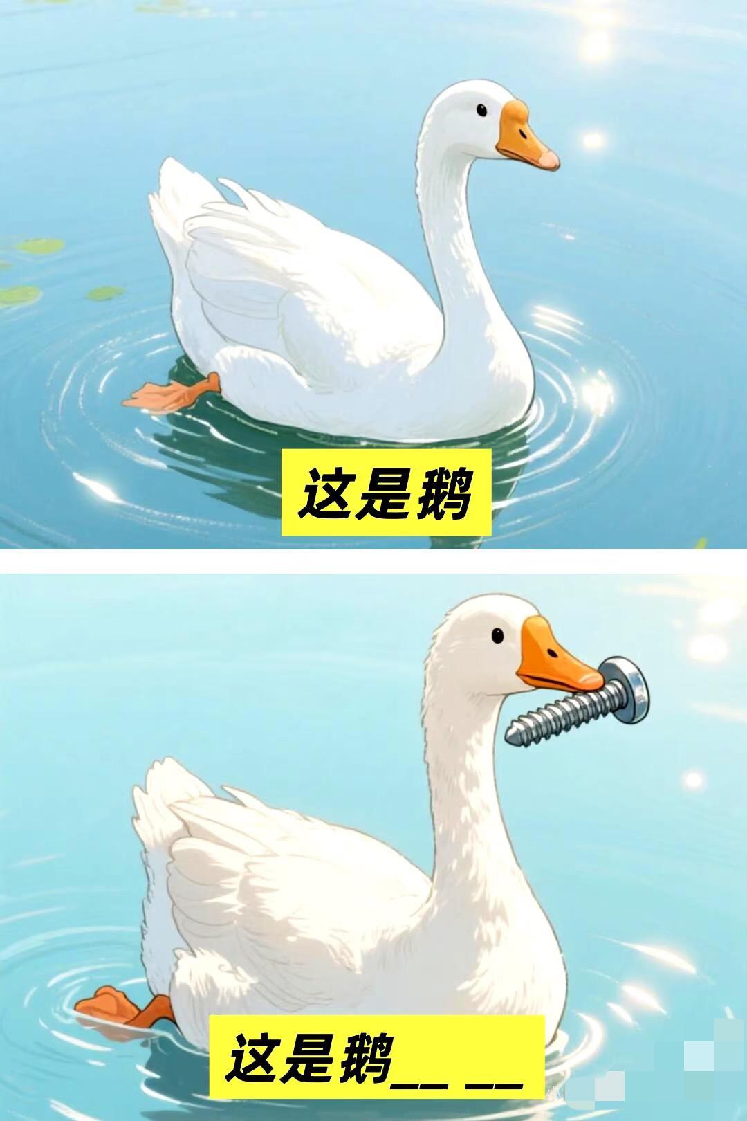 根据图片猜测国家
根据图片推测国家名称
无奖竞猜 奇妙的发现 一些奇奇怪怪的东西