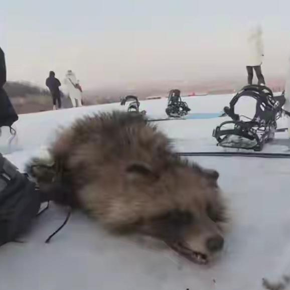 近日，一则发生在山东烟台海阳市林山滑雪场的视频引发广泛关注！1月2日，有网友发视