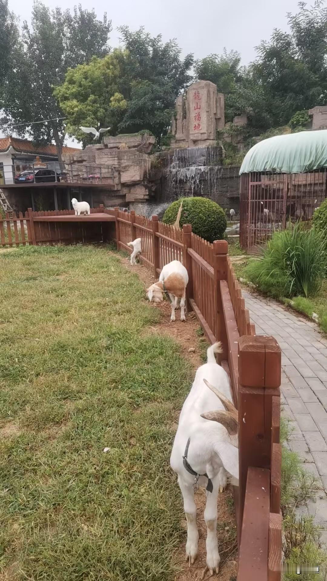 今天我哥去墓地看望我爸，拍了几张照片，说风景很好。
我看了，我笑了。
北方到了八