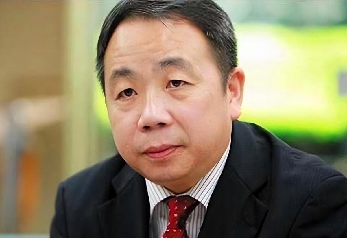 卖国贼石平走了！带着全家人彻底与故土断绝了联系！行李箱里塞着他在日本攒下的右翼媒