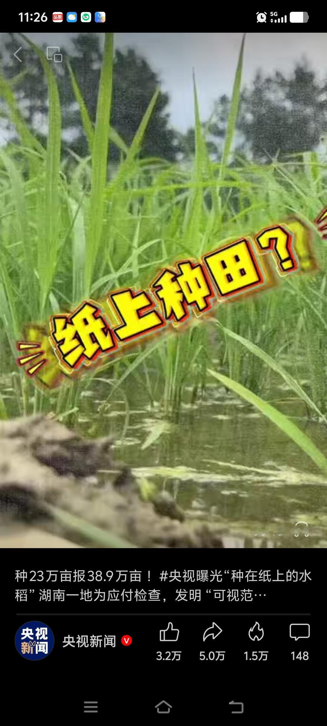 纸上水稻事件里，基层到底冤不冤？[灵光一闪]当地实际种粮23.8万亩，上报考核数
