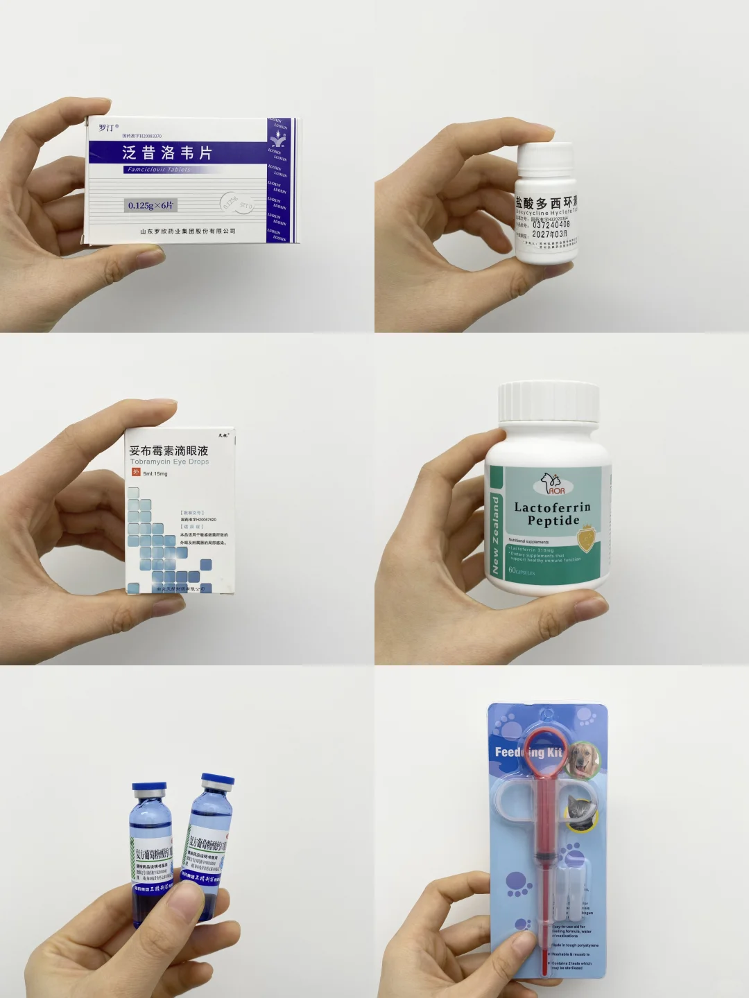 猫鼻支会自愈吗？自治上岸分享