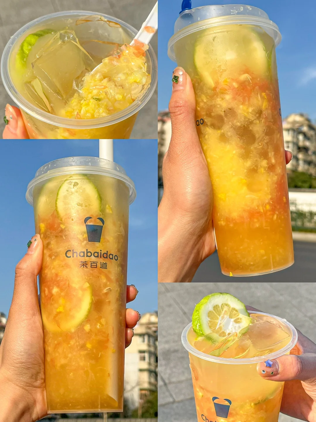 报！茶百道新品白月光🍊jujuju清爽！！！