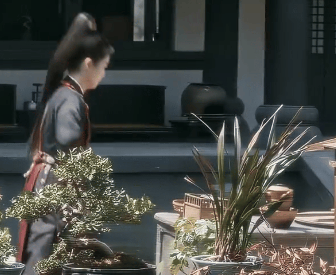 大扑棱蛾子李佩仪哈哈哈哈哈哈哈哈哈 