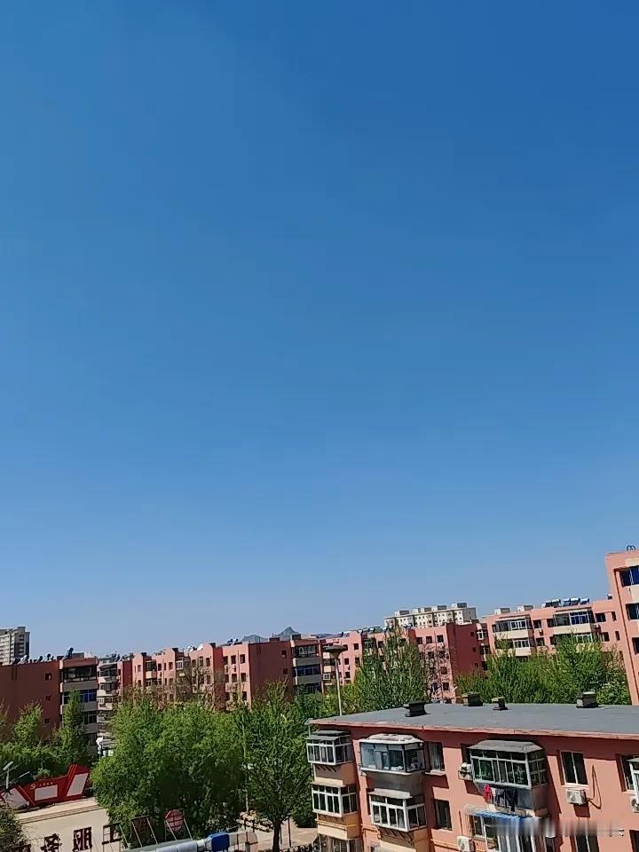 看到一个网友说，
老头子搭伴，
总想找个年轻的。

这话说的有点绝对了，
想找年