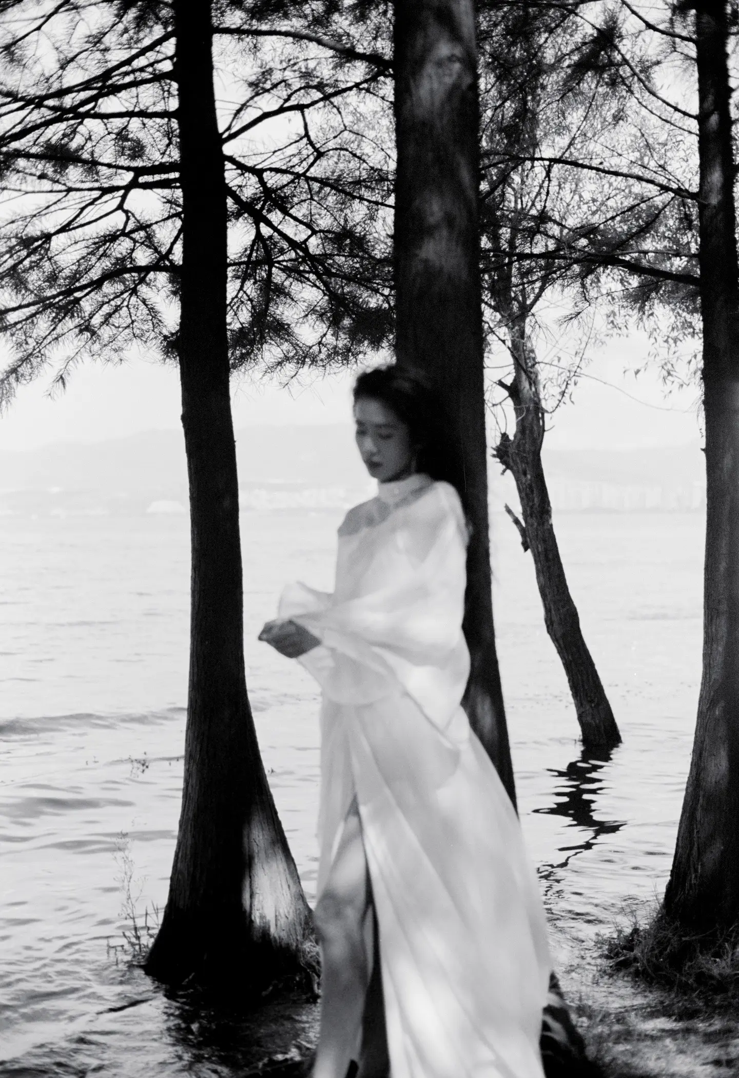 柔软又坚硬 清冷又热烈。