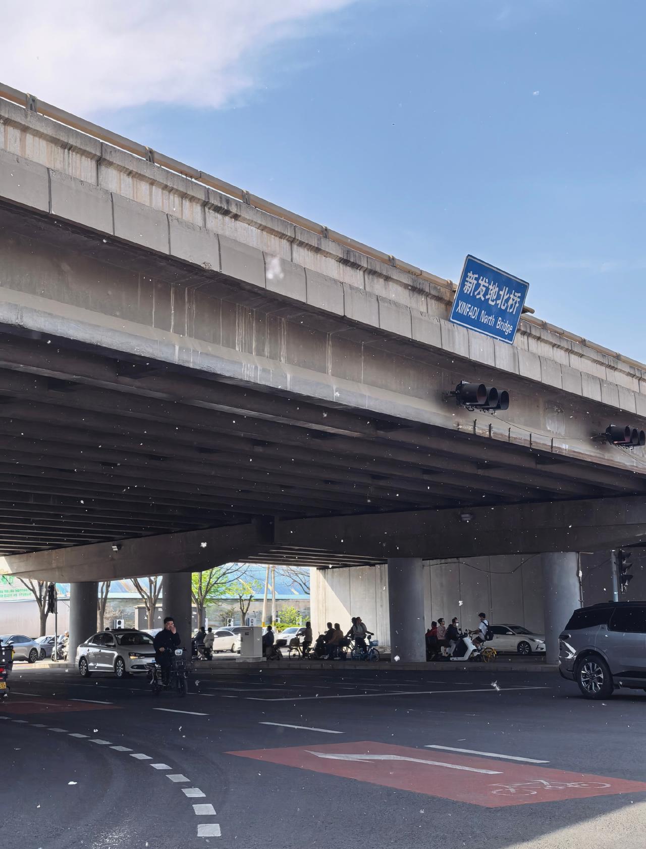 北京柳絮北京现在柳絮超级多，鼻炎患者超级难受😣