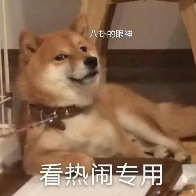 听说不少事，鱼○真乱呀 ​​​