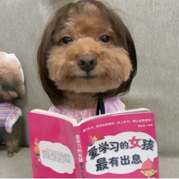 菠萝包子