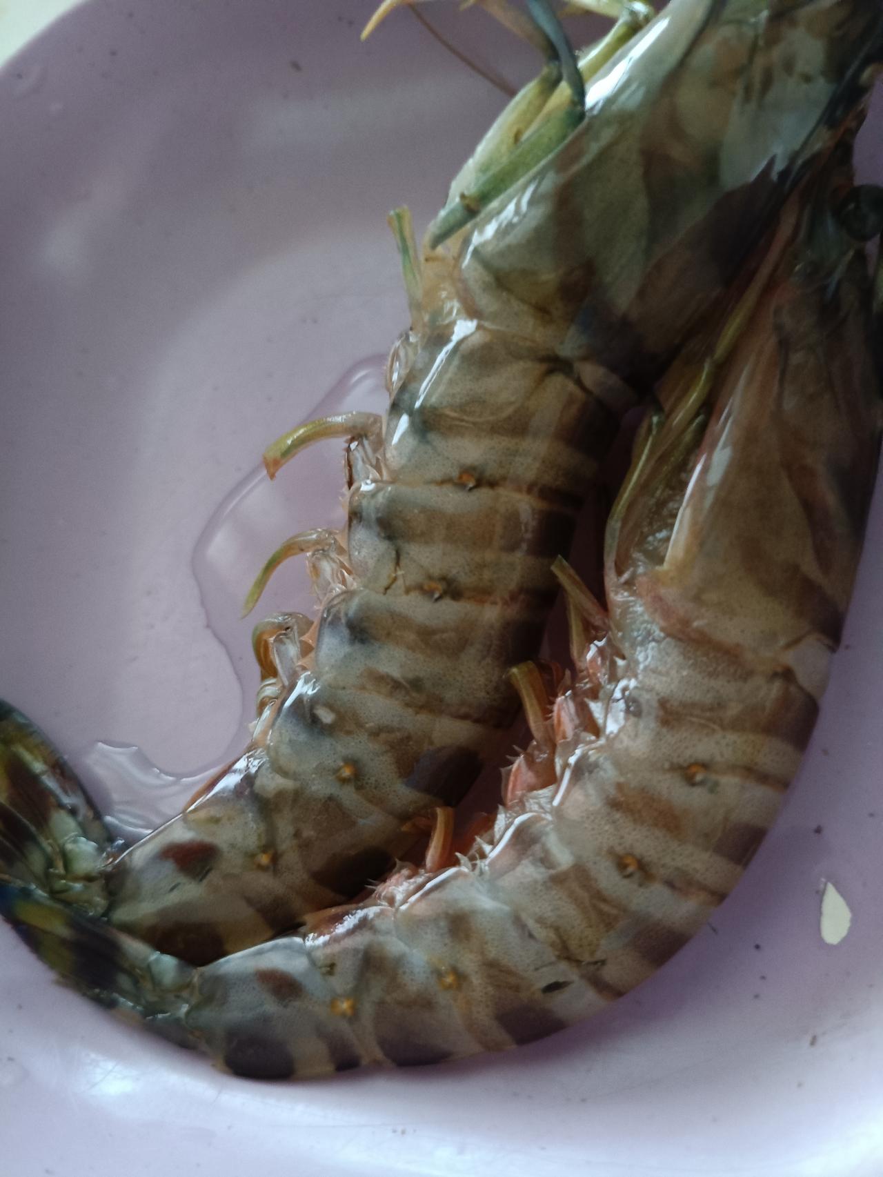 今天阳光正好，洗了洗铺盖，也没出门买菜。

    把昨天买的玉米棒剥掉外皮，从