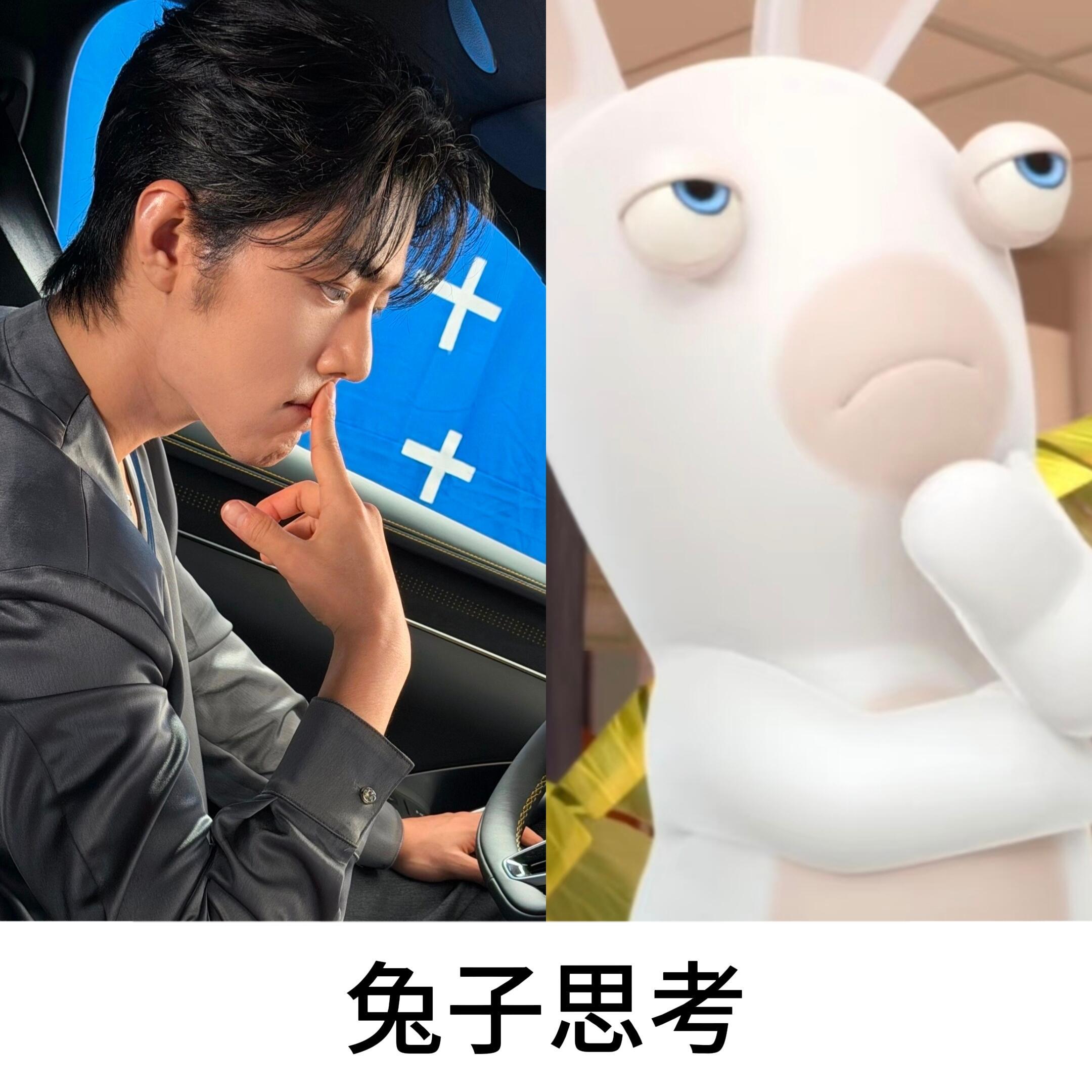 本体显露，好大一只兔兔