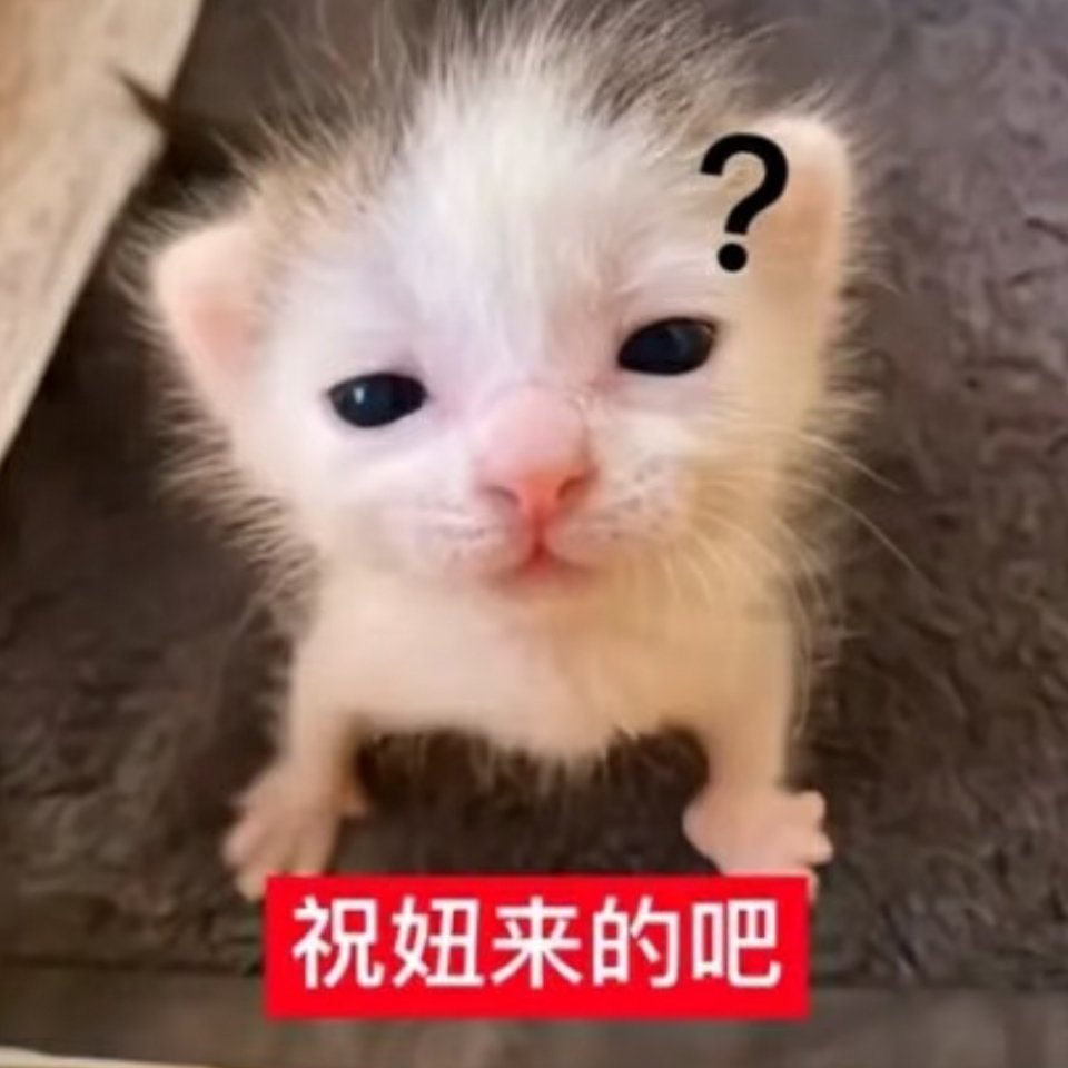 张莲心情 