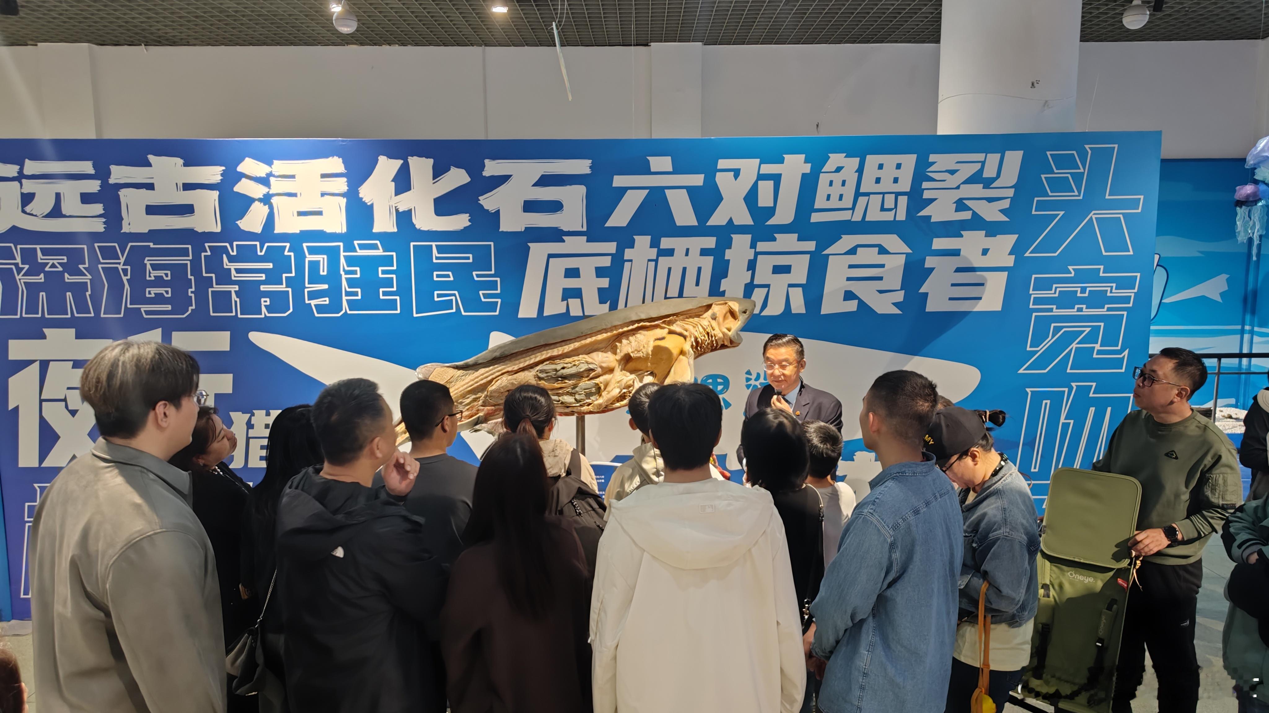 鲨鱼生命奥秘博物馆 《鲨鱼王国》临展今天在大连自然博物馆与观众见面，难得一见的六