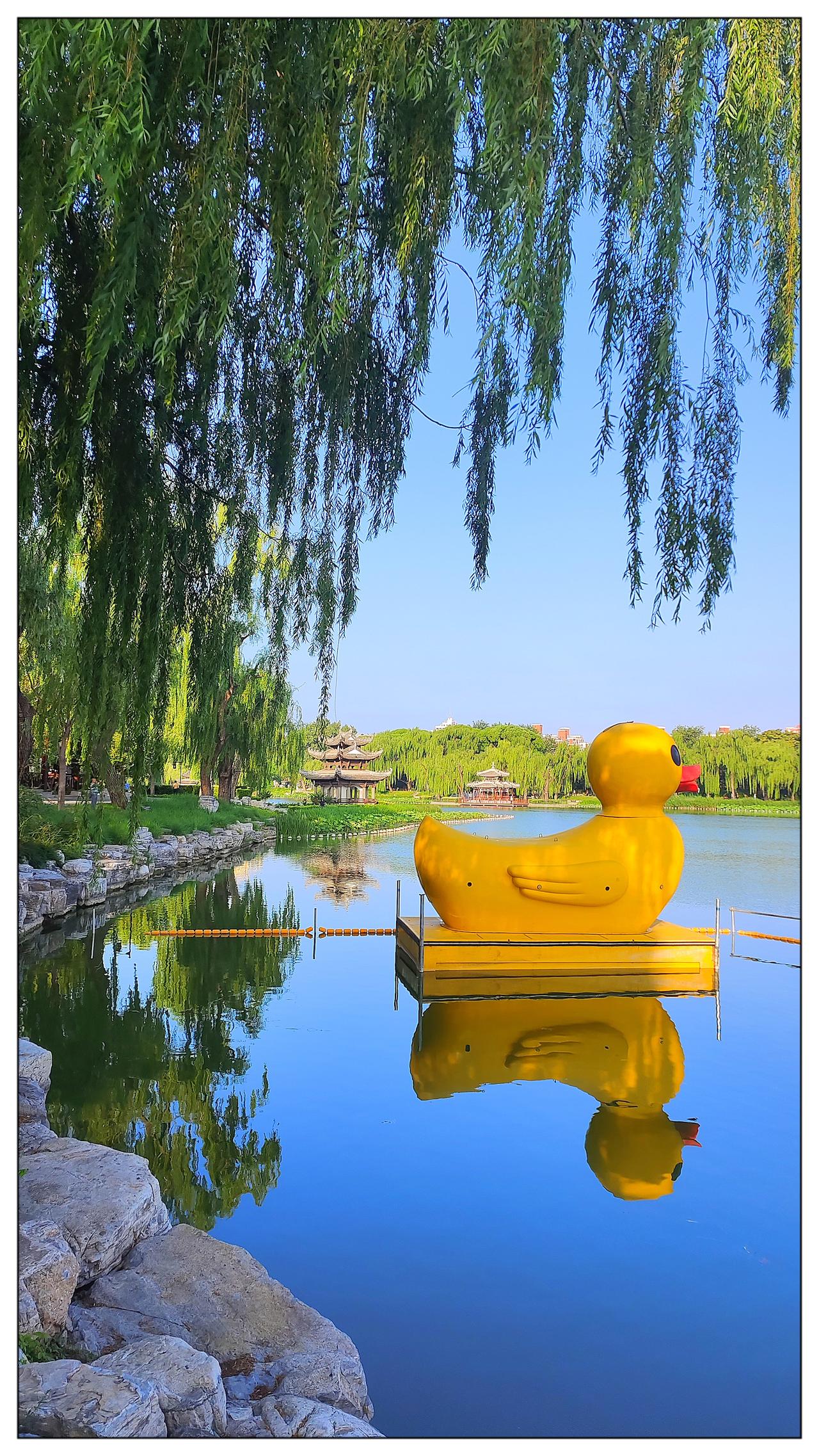 趣味在陶然