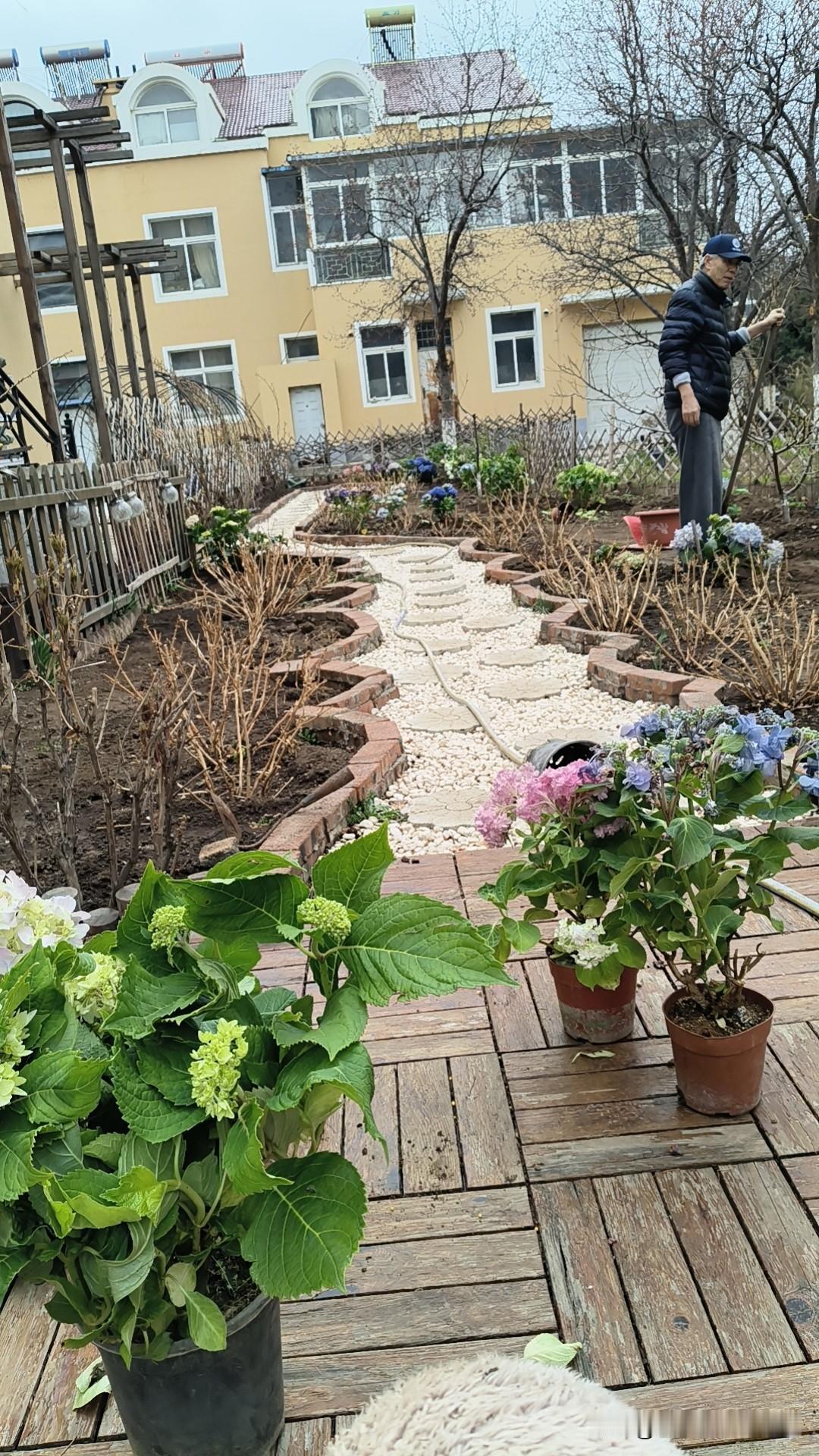 回沈十年：低配生活，丰盈心安
 转眼间，回到沈阳已快十个年头。今年我七十四岁，每