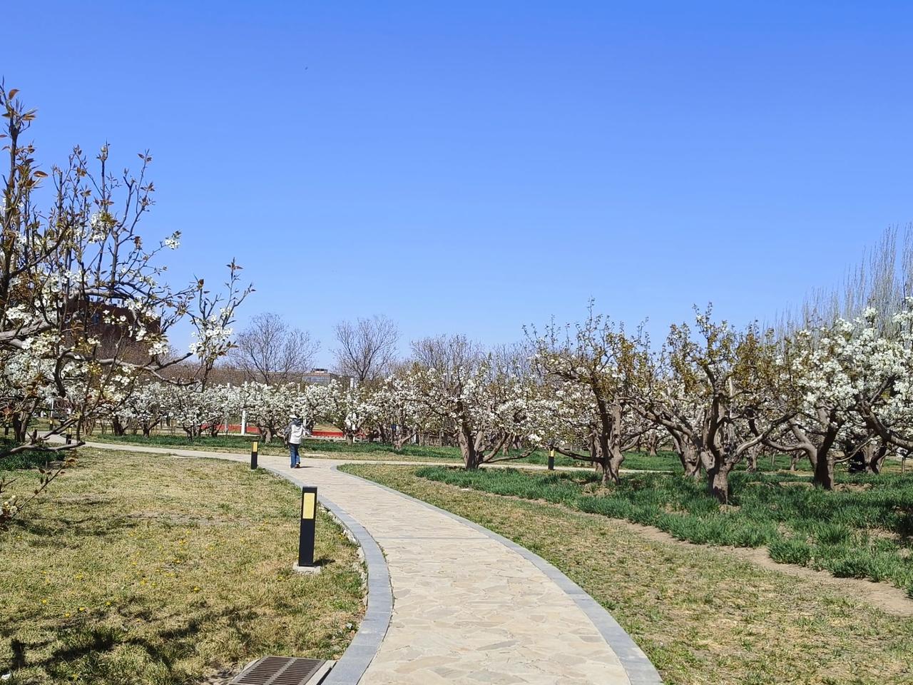 不到5000的家具家电拉扯了5天，这5天是沉默的，如果我说：“行，你们搬走”，那