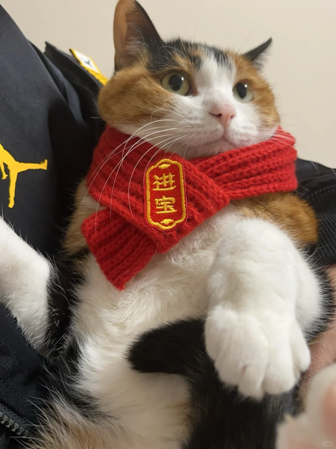给你一个亲吻公主右手的机会