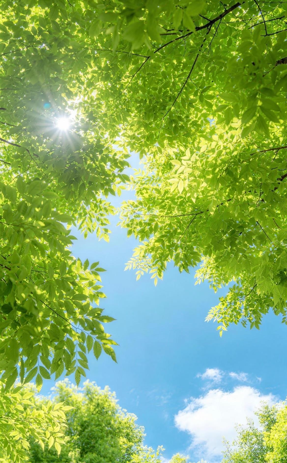 用《论语》看职场，一下就通透了
圣人的话就是让人如沐春风🌿
	
1️⃣子曰：“