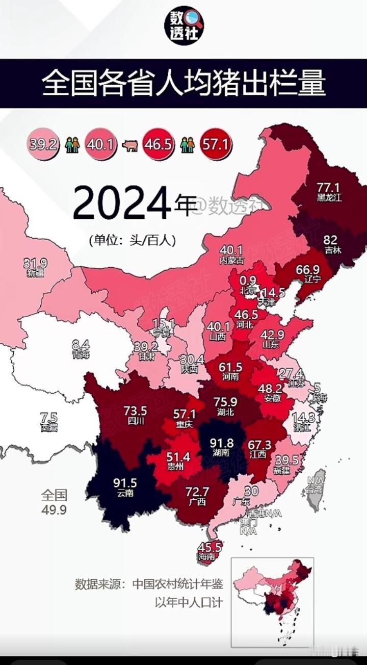 全国各省市人均猪出栏量，排名第一的是湖南91.8头100人分，云南排名第二91.
