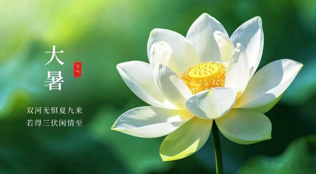 不想沦为芸芸众生的人只需做一件事，便是对自己不再懒散；他应听从他的良知的呼唤：“