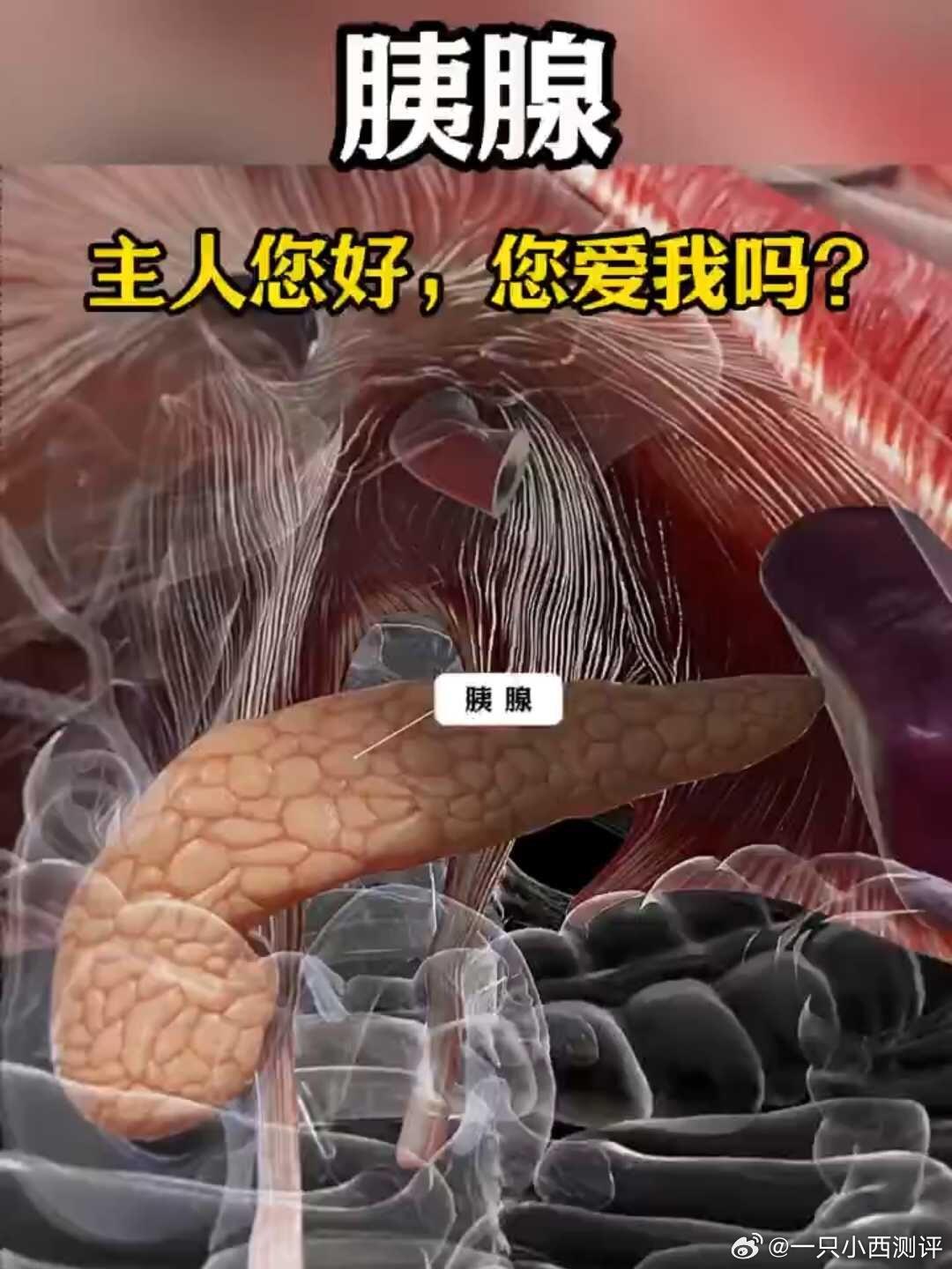 连续吃6个月水煮菜胰腺坏死了1️⃣ 极端低脂饮食→肝脏代谢紊乱长期水煮菜导致优质