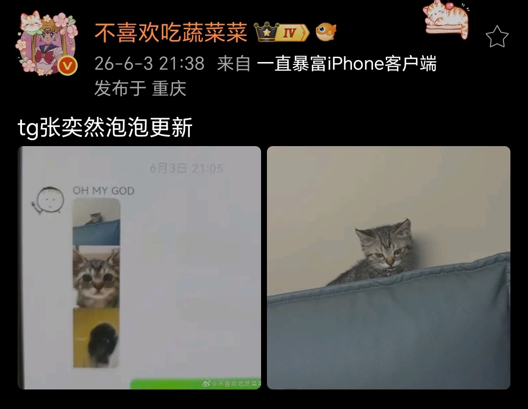 泡友。我要看你家的大卡车