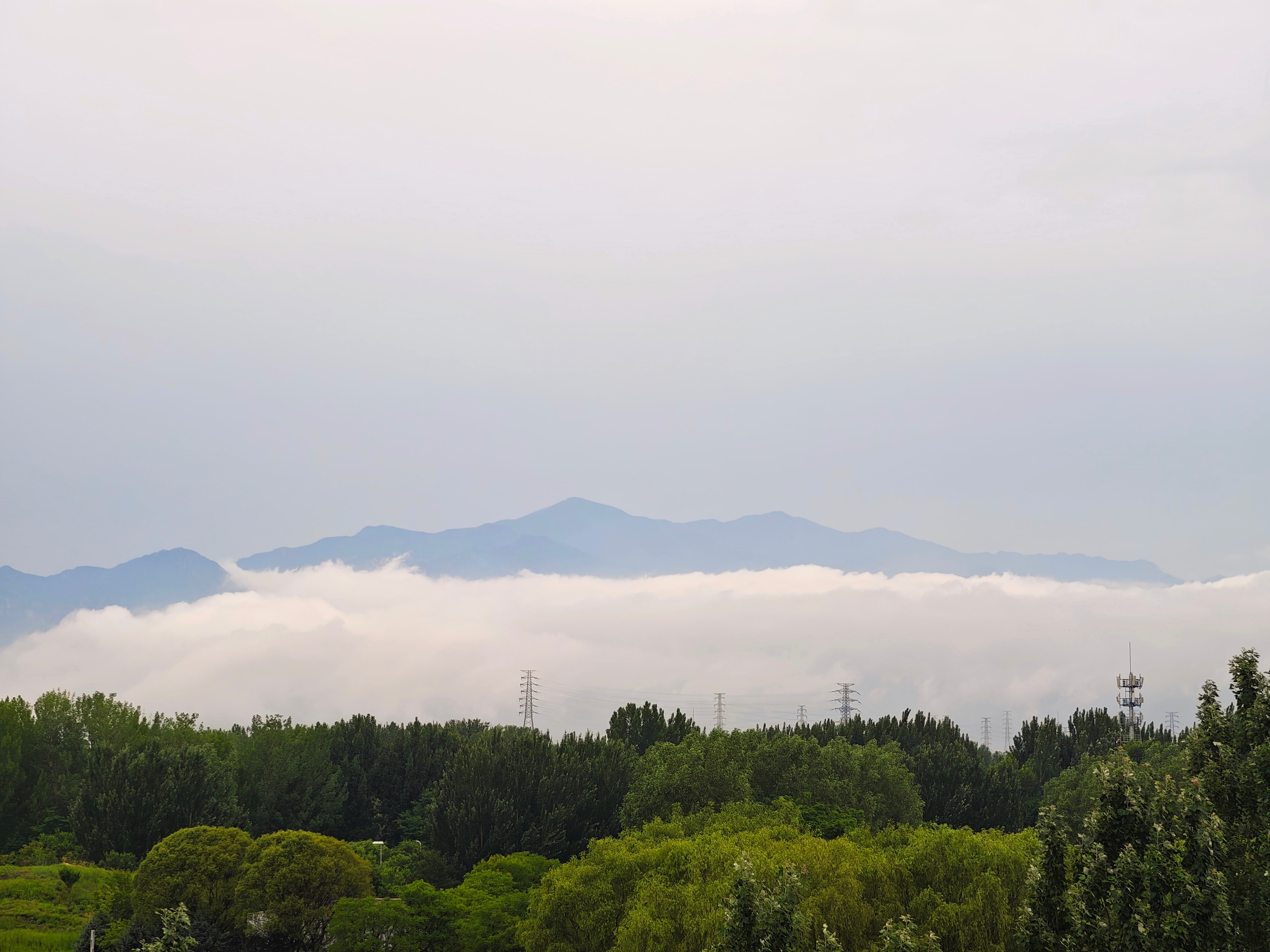 V读北京一键开启延庆23度的夏天延庆真好，在世园公园植物馆顶楼都能看见云海，这得
