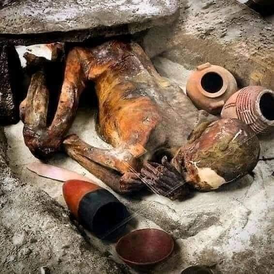 这是现存最古老的埃及木乃伊。
它已有5500多年的历史。

这具被称为“阿姜”的