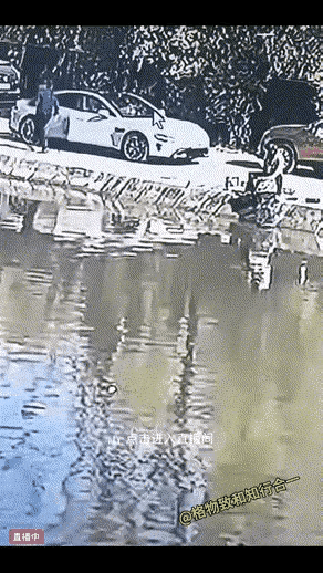 太尴尬了！车主本来想炫耀一把自动泊车，装一波逼。结果车子直接“投水自尽”，智能泊
