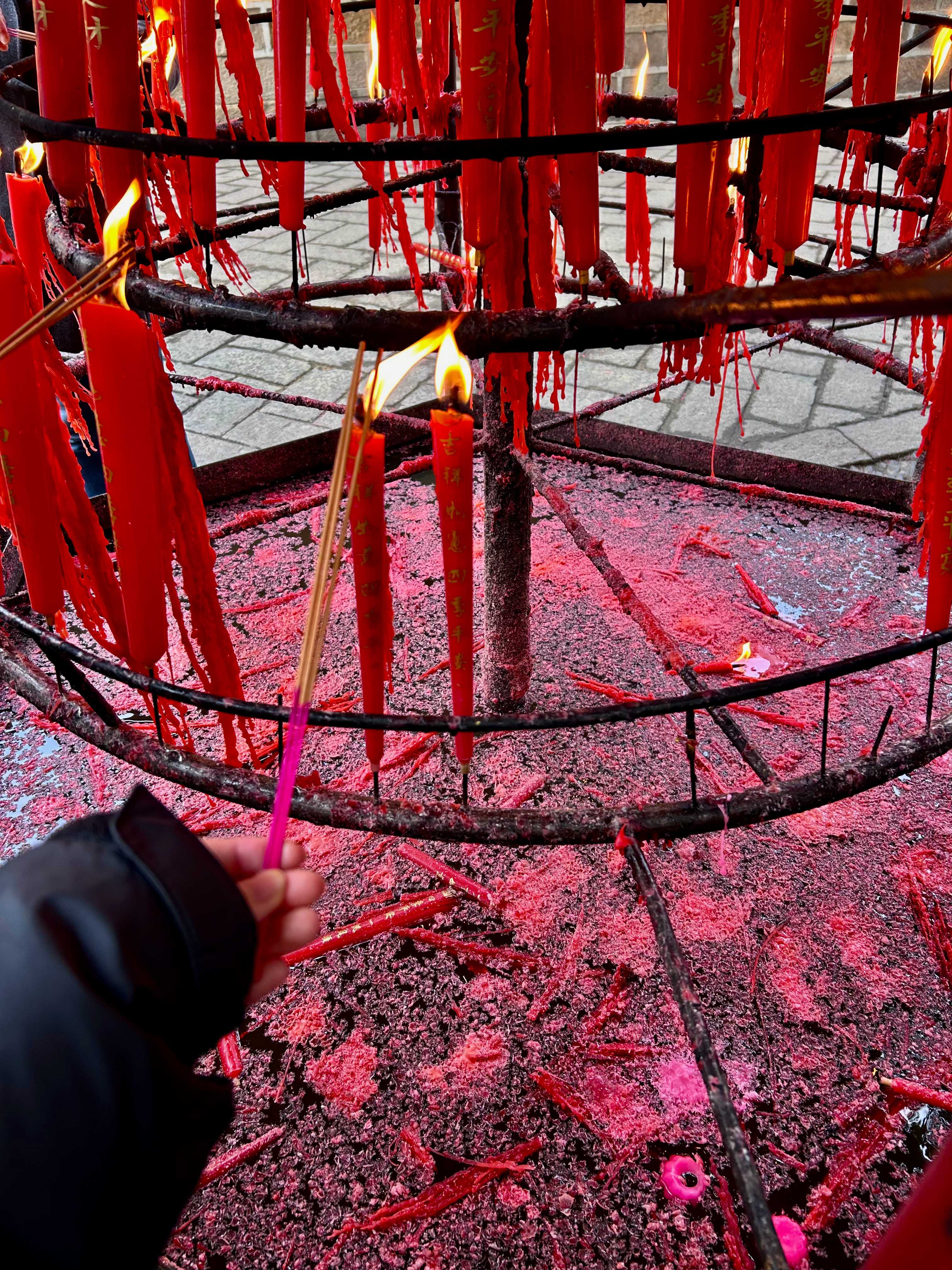 太舒适了所有人必须来西园寺吃